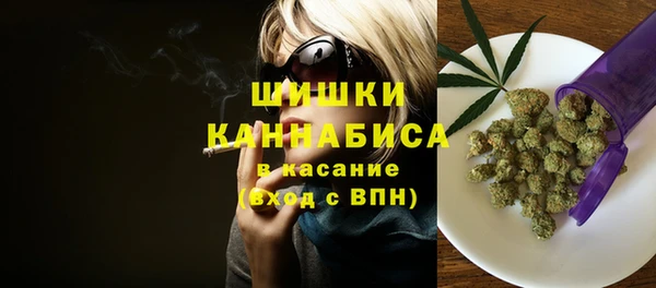 сатива Каменка