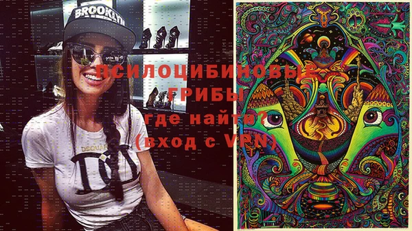 соль ск Алексеевка