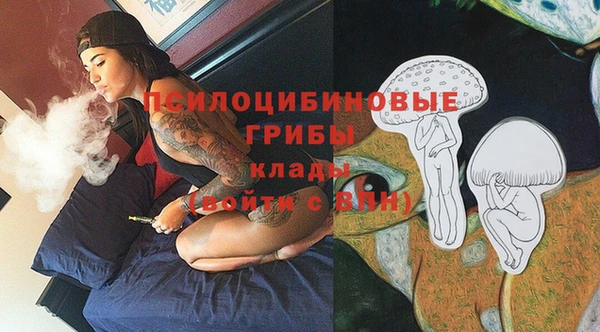 героин Алзамай