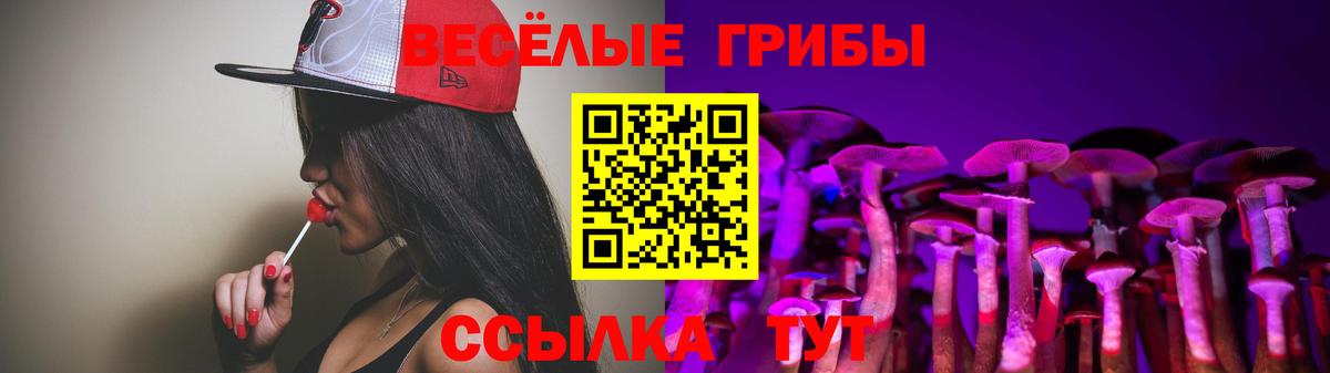 Галлюциногенные грибы Cubensis Березники